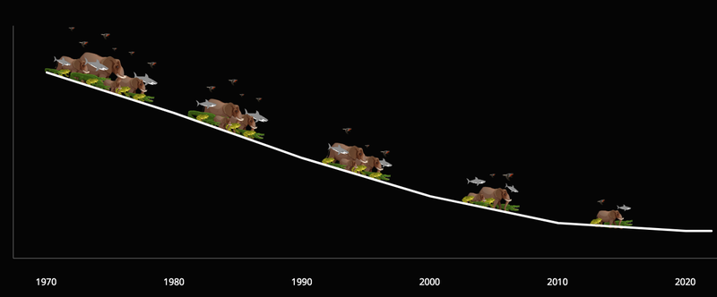 Mynd frá WWF, Living Planet Report.