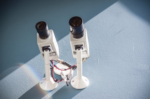 Mynd: Birgir Þór Harðarson.