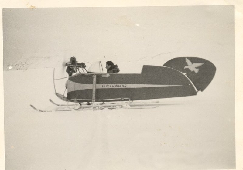 Fjallahaukur Mynd: Aðsend