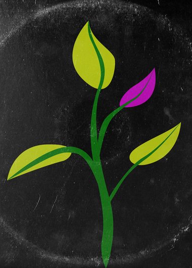 Klikkið er nýr þáttur í Hlaðvarpi Kjarnans þar sem fjallað er um geðheilbrigði, geðheilbrigðismál og áskoranirnar sem bíða neytendum geðheilbrigðisþjónustu.