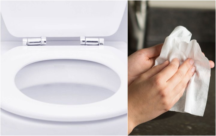 Klósett/blautþurrkur