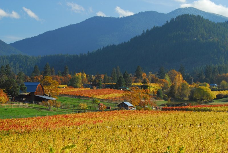 Það er víða fallegt á Vesturströndinni, og það á svo sannarlega við um landbúnaðarhéröðin í Oregon. Mynd: EPA.