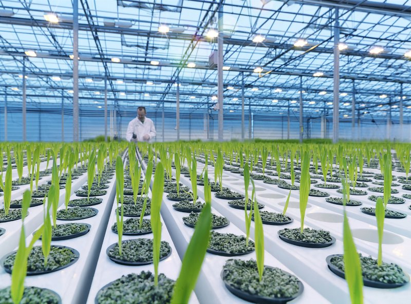 Úr framleiðslu ORF Líftækni.