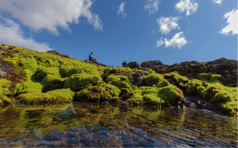 Læt að lokum fylgja með þessa fallegu mynd sem tekin er á göngu frá Borðeyri og yfir í Gilsfjörð. Náttúran í sínum fallegu litum. Mynd: Aðsend.