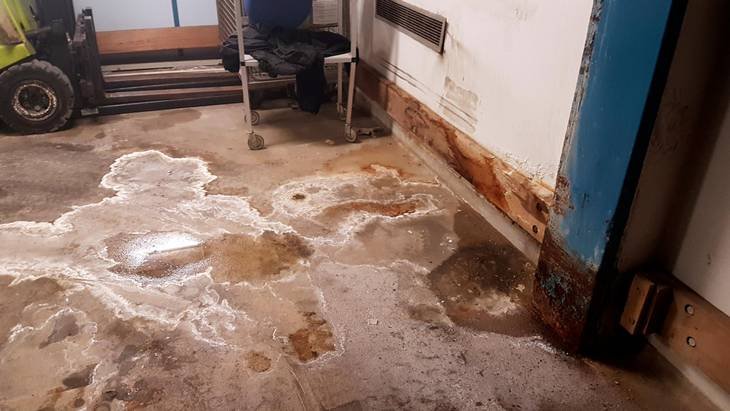 Myglusveppur í sjúkrahúsinu. Mynd: Ekstra-blaðið