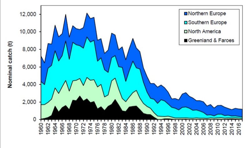 Mynd 2. Þróun á afla (tonn heilfiskur) villtra laxa í N-Atlantshafi á árabilinu 1960-2017. Svæðaskipting einkennd með litum (ICES, 2018).