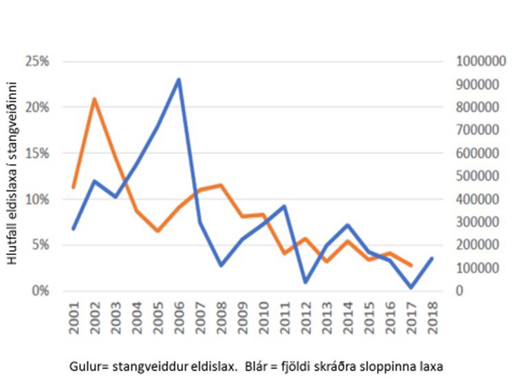 Mynd 4. Þróun í hlutfalli stangveiddra eldislaxa og fjölda skráðra sloppinna eldislaxa í Noregi.