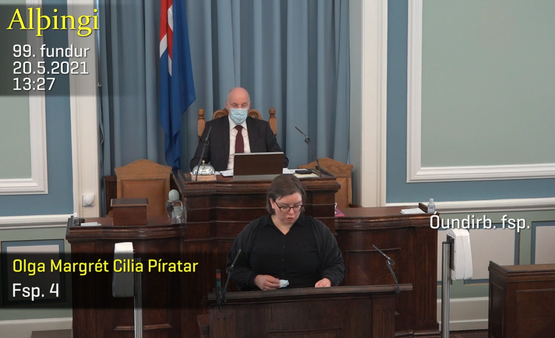 Olga Margrét Cilia á þingi í dag Mynd: Skjáskot/Alþingi