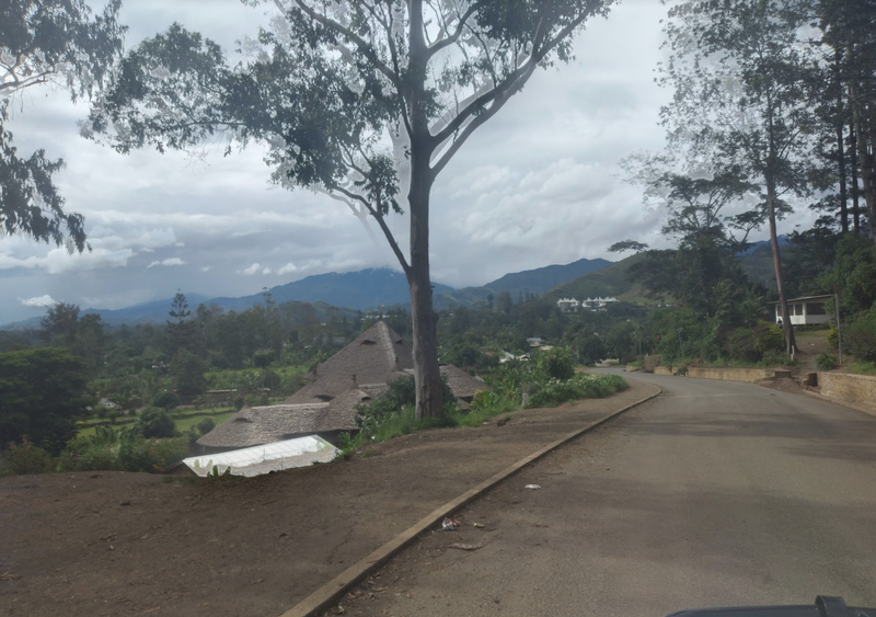 Auðar götur Mynd: Aðsend