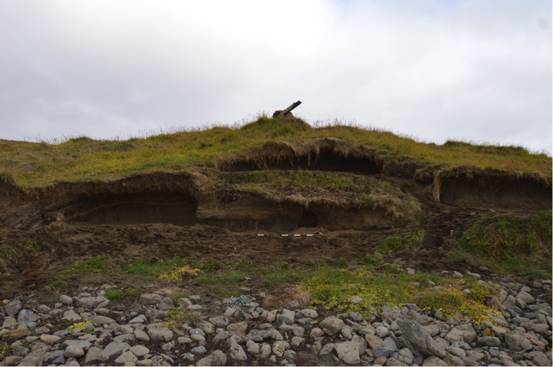 Sandvík á Ströndum. Á myndinni má sjá rofinn sjávarbakka þar sem eru að finna fornminjar frá 9. til 10. öld. Svona leit rofið út í ágúst 2019 en hver staðan er eftir þennan vetur er ómögulegt að segja. Mynd: Lísabet Guðmundsdóttir