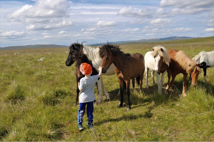 Vonarljós Mynd: Karolina Fund