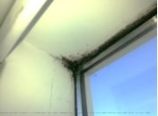 Rakinn getur valdið tjóni.