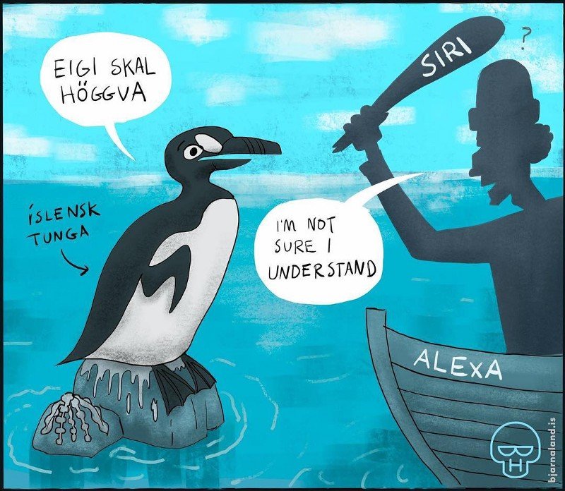 Ef ekki er haldið rétt á spilunum, getur íslenskan tapast í hinum stafræna heimi.