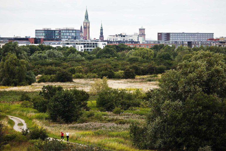 Amager fælled. Þar stendur til að byggja íbúðir og það er mörgum þvert um geð. Mynd: Af vefnum naturibyen.com