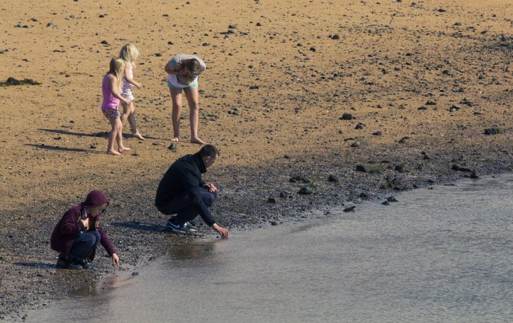 Saurgerlamengun mældist í Nauthólsvík í sumar vegna bilunar í skolphreinsistöð í nágreninu.