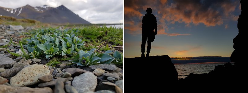 Jafnvel við erfiðustu aðstæður finnum við líf. Í saltaðri fjöru vaxa plöntur, þó salt sé einn versti óvinurinn. Við heita hveri vaxa lífverur, á stöðum þar sem ekkert líf var áður talið geta þrifist. Í myrkrinu halda skuggar áfram, þar til birtir á ný.