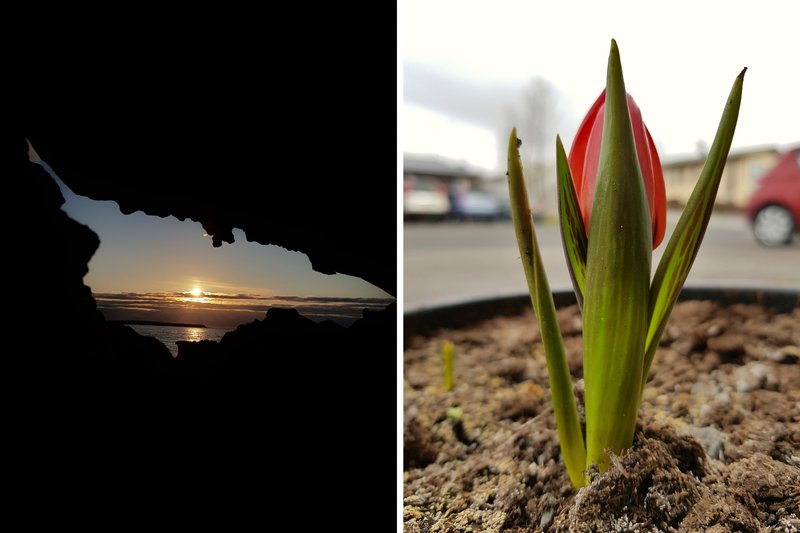 Myrkrið eykst í kringum okkur og jafnvel ljósið við enda ganganna virðist dvína líkt og sé að hverfa undir sjóndeildarhringinn. Klukkan heldur þó áfram að tifa og tími myrkursins styttist hraðar en við höldum. Upp úr myrkri moldarinnar brýst lífið aftur.
