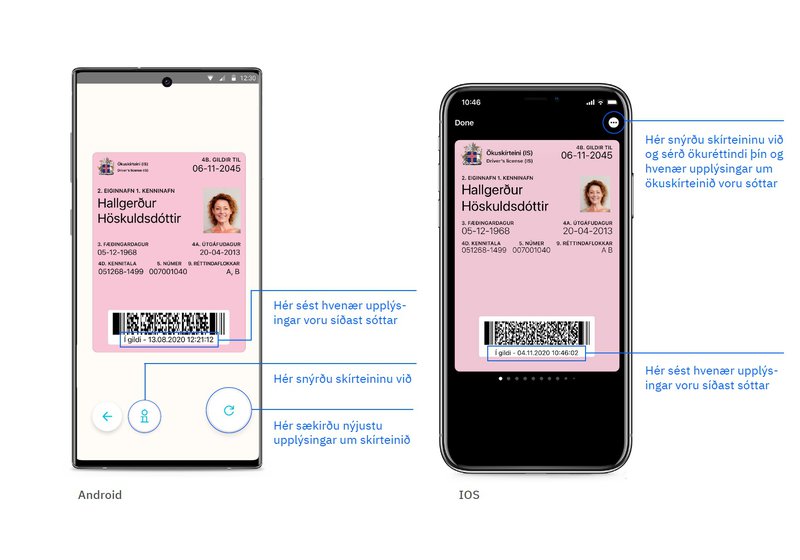 Svona líta stafrænu ökuskírteinin út. Nýji skanninn les QR-kóða skírteinisins og sker í kjölfarið úr um hvort skírteinið sé gilt eða ekki.Mynd: Stafrænt Ísland