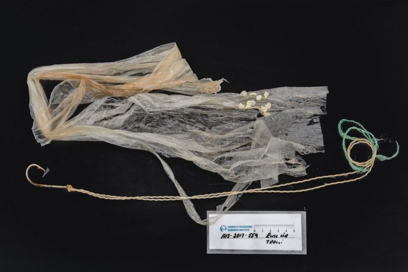 Plast sem fundist hefur í sjó Mynd: Svanhildur Egilsdóttir