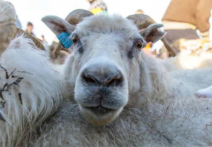 Í þingsályktunartillögu þingflokks Viðreisnar er lagt til að upplýsingar um opinbera styrki og greiðslur verði aðgengilegar öllum án endurgjalds.