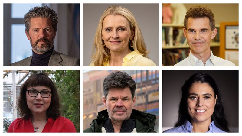 Niðurstaða flokksvals er bindandi fyrir sex efstu sætin.