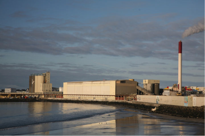 Sementsverksmiðja ríkisins