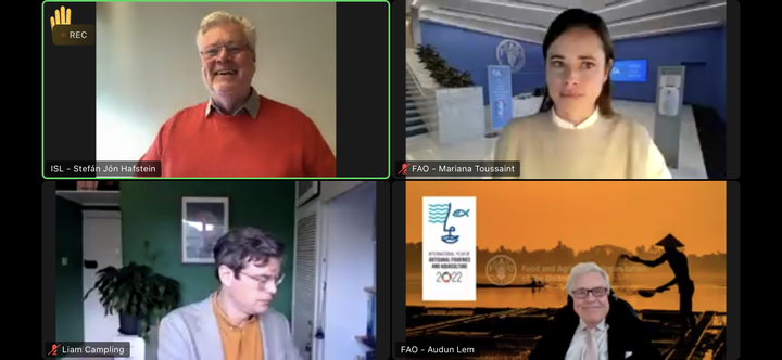 Stefán Jón Hafstein sendifulltrúi með orðið á veffundinum í dag.