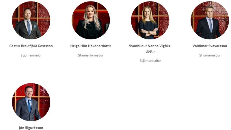 Hér eru stjórnmenn VÍS, samkvæmt þeirri skipan sem var fyrir hendi, áður en Helga Hlín og Jón ákváðu að segja sig úr stjórn.