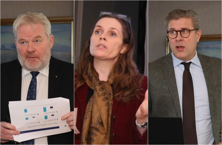 formenn stjórnarflokka