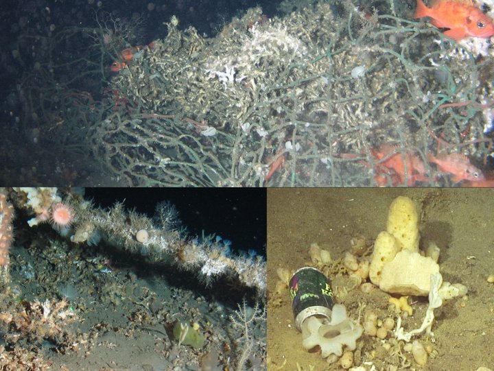 Trollnet, fiskilínu og áldósir eru dæmi um rusl sem finna má á hafsbotni við Ísland.