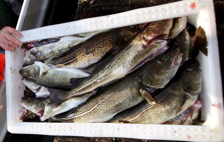 Virði útgerðarfélaga sem skráð eru á íslenskan hlutabréfamarkað hefur aukist gríðarlega frá því í september í fyrra.