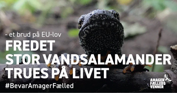 Mörg samtök og einstaklingar hafa lagt baráttunni fyrir vernd vatnssalamöndrunnar lið.