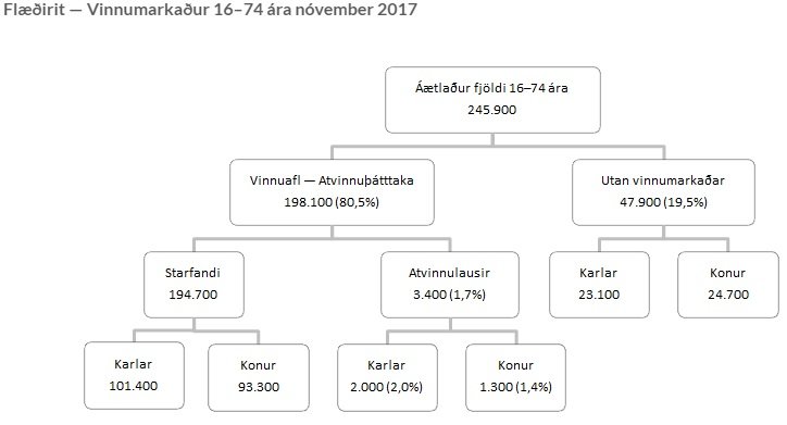 Hér má sjá hvernig íslenskur vinnumarkaður er samsettur, miðað stöðuna í nóvember.