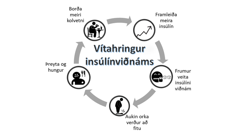 Ef þú finnur reglulega fyrir sykurþörf er mögulegt að þú sért í þessum vítahring